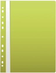 Lichtgroene snelhechter A4 met europerforatie