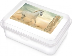 Transparante lunchbox met paardenmotief 750 ml
