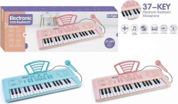 Elektronisch orgel met microfoon, 37 toetsen