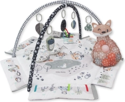 Baby speel- en sensorische speelmat 5-in-1 Minky met speelboog en ballen