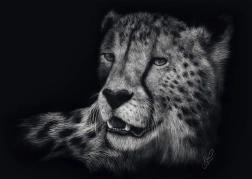 Puzzel snelheid van de cheeta 1000 stukjes SCHMIDT