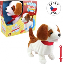 Hondje Besinka met fluitje