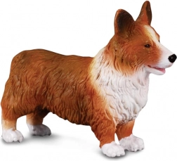 Beeldje Welsh Corgi van CollectA