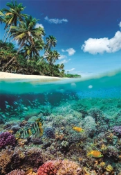 Puzzel Zomerparadijs 1000 stukjes van Clementoni