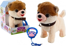 Interactieve hond aan de lijn