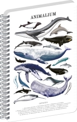 Notique gelinieerd spiraalblok Animalium Onder de zee A5