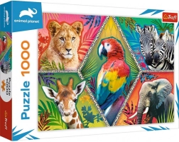 Puzzel 1000 stukjes exotische dieren ANIMAL PLANET
