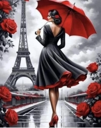 Creatieve set Diamant schilderen Vrouw in Parijs