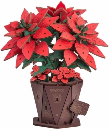 RoboTime 3D houten bouwpakket kerstster