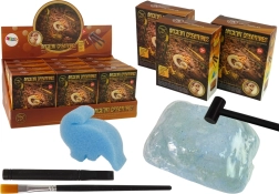 Opgravingen van prehistorische wezens – ammonietverrassing