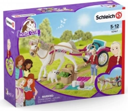 Koets voor de grote paardenparade