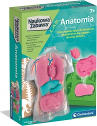 CLEMENTONI Educatieve Anatomieset