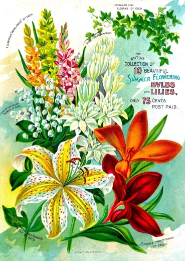 Enjoy puzzel Vintage bloemencatalogus 1000 stukjes