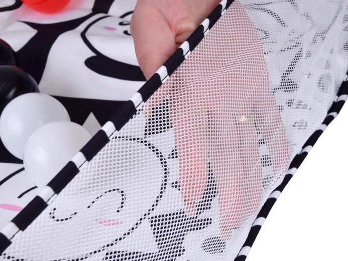 Speelrand met netzijden en set ballen