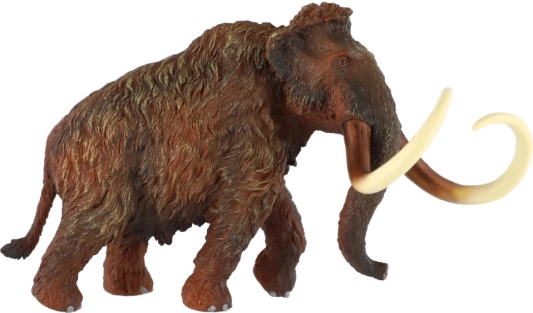 Natuurgetrouwe textuur en kleuring