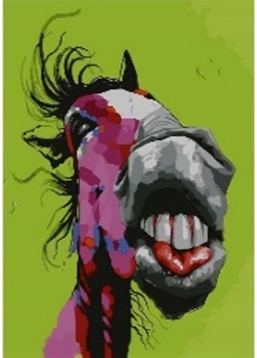 Norimpex Schilderen op nummer Crazy Horse 40 × 50 cm