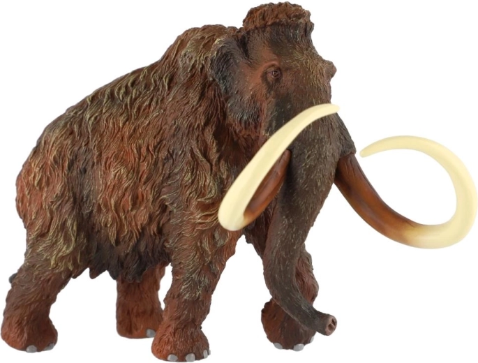 Indrukwekkende slagtanden voor een authentieke look