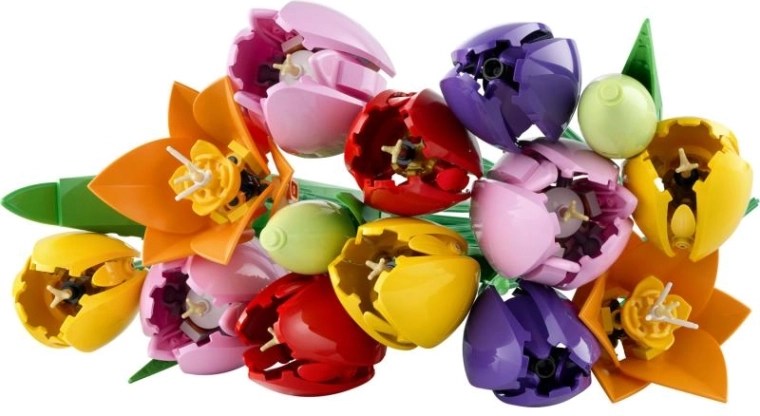 Realistische tulpen in levendige kleuren