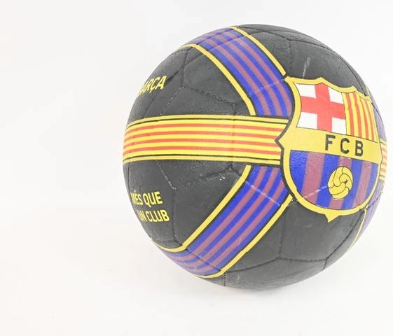 FC Barcelona blaugrana voetbal met senyera