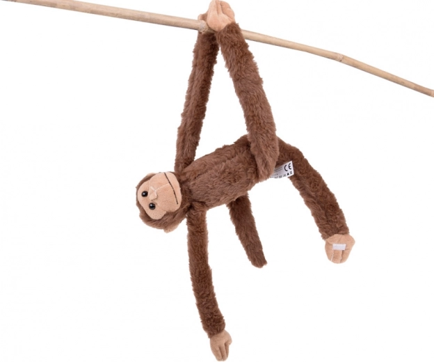 Kleefpootjes voor eindeloos speelplezier