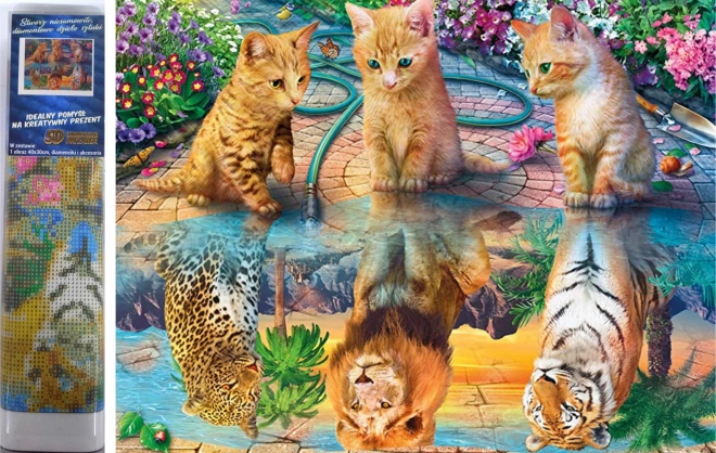 Norimpex diamant schilderen Katten Dromen 30x40 cm