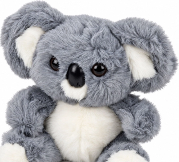 Schattige uitvoering van de koala