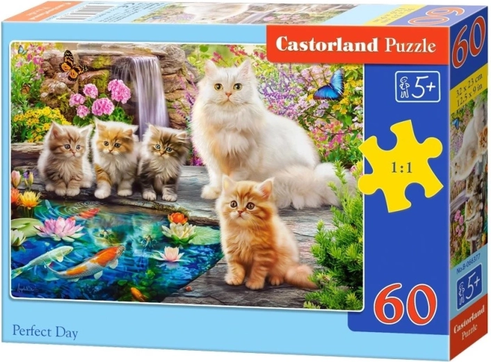 Castorland puzzel Perfecte dag 60 stukjes