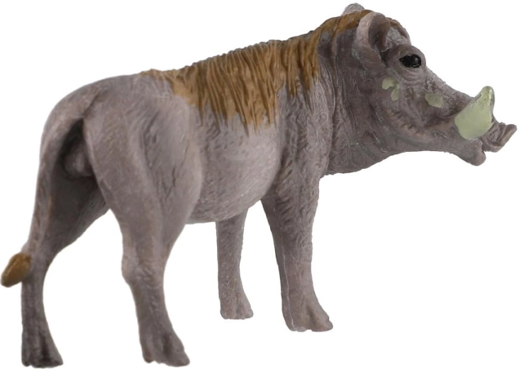 Kennismaking met de Afrikaanse fauna
