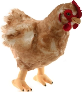 Pluchen Kip