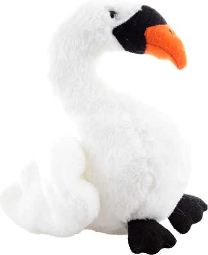 Compacte afmetingen voor kleine handjes