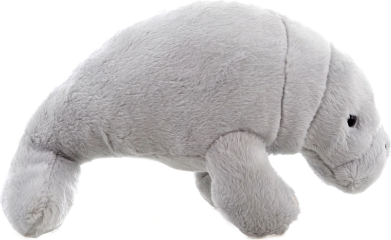 Schattig design voor de kinderkamer