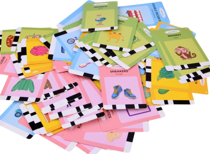 224 thematische kaarten met opvallende illustraties