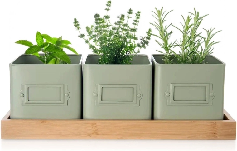 Set kruidenpotten GREENISH met standaard, 3 stuks