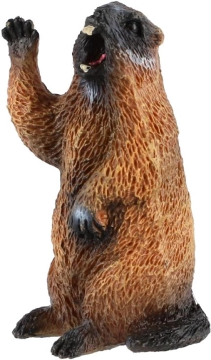 Realistisch motief van een alpenmarmot