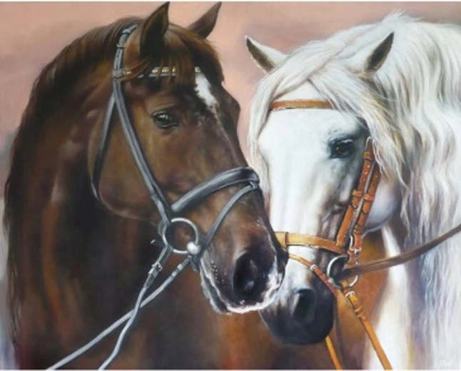 Norimpex Schilderen op nummer knuffelende paarden 40 × 50 cm
