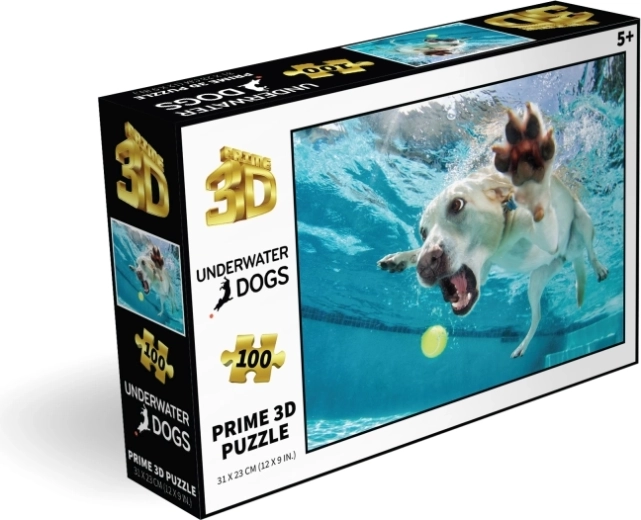 100 stukjes voor slimme fun