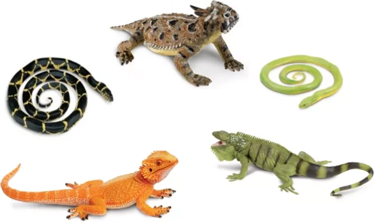 Safari Ltd. slangen en hagedissen – set van 5 figuren