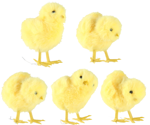 Set van 10 stuks in 5 designs