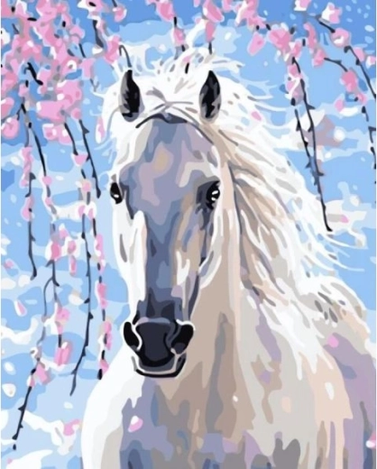 Schilderen op nummer op canvas in lijst 40 × 50 cm – witte hengst