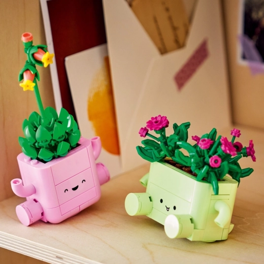 Decoratie voor de kamer en een origineel cadeau