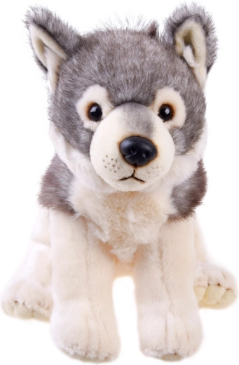 Praktisch formaat voor thuis en onderweg