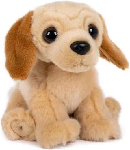 Pluchen zittende labrador 15 × 17 cm