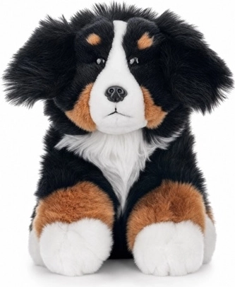 Berner Sennenhond 23 cm