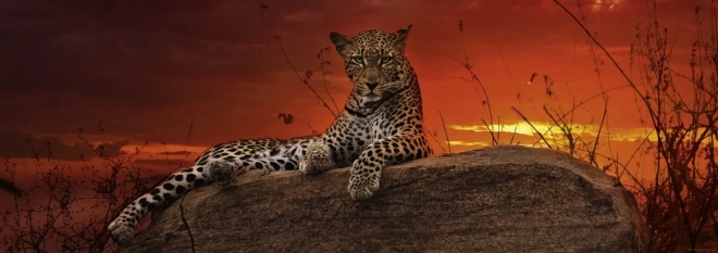 Panoramische puzzel Zonsopgang in Kenia 2000 stukjes