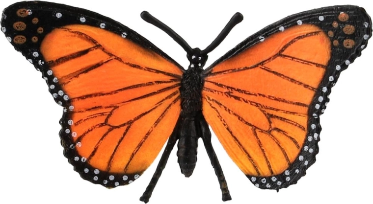 Natuurgetrouwe kleuren van de monarchvlinder
