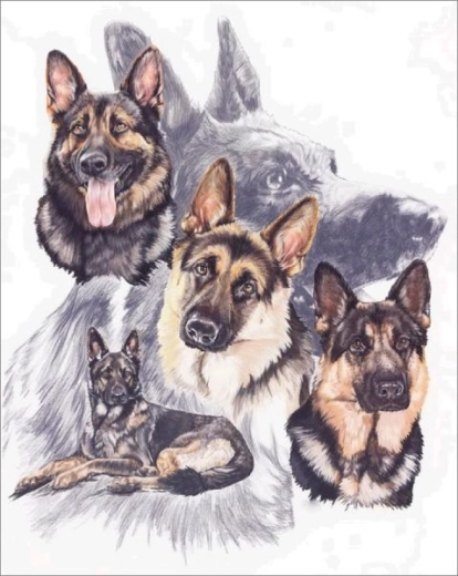 Diamantborduren (diamond painting) - Duitse herders 30 × 40 cm - 1 stuk
