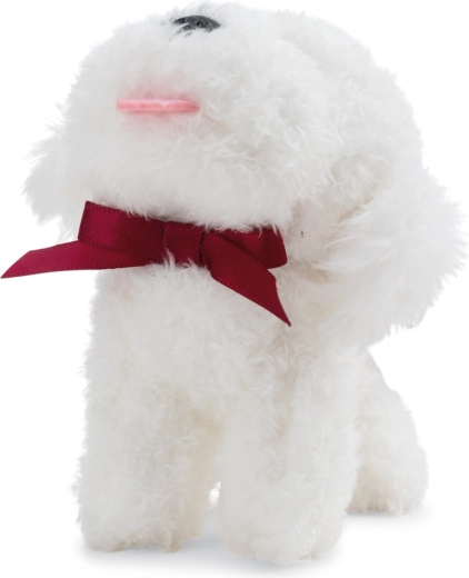 Schattige bichon met strikje