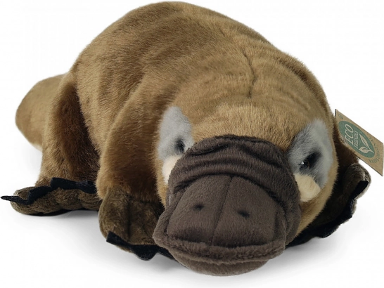 Pluchen vogelbekdier van gerecyclede PET-flessen