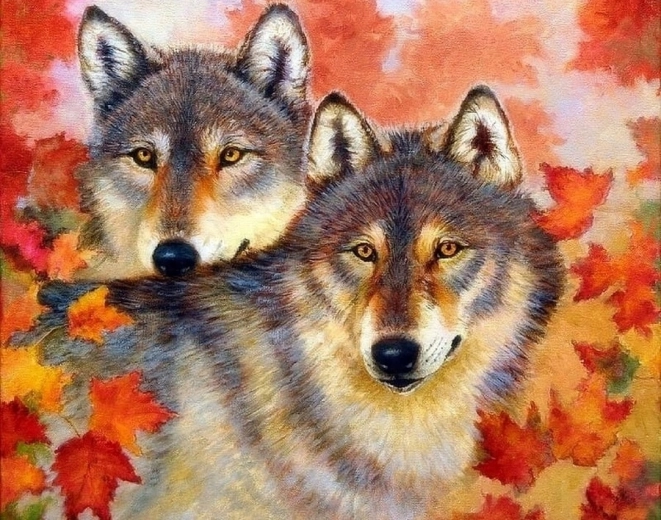 Norimpex schilderen op nummer Wolf en wolvin 40 × 50 cm