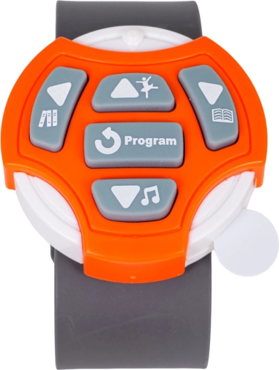 Besturing met horloge 2,4 GHz